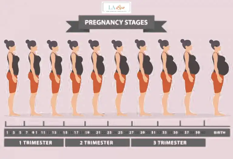 First Trimester (Weeks 1–12): Early Changes You Might Not Notice Buckinghamshire